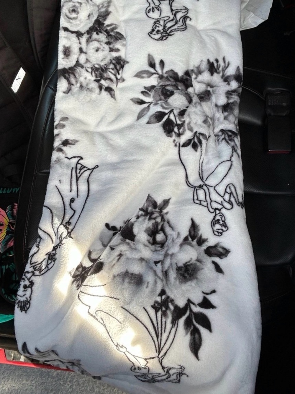 Disney princesses throw blanket